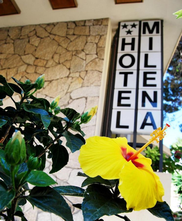 Hotel Milena Rimini Luaran gambar